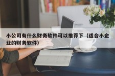 小公司有什么财务软件可以推荐下（适合小企业的财务软件）