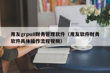 用友grpu8财务管理软件（用友软件财务软件具体操作流程视频）