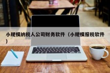 小规模纳税人公司财务软件（小规模报税软件）