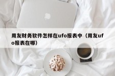 用友财务软件怎样在ufo报表中（用友ufo报表在哪）