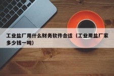 工业盐厂用什么财务软件合适（工业用盐厂家多少钱一吨）