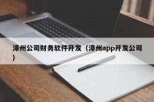 漳州公司财务软件开发（漳州app开发公司）