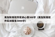 用友财务软件实训心得300字（用友财务软件实训报告3000字）