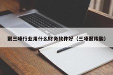 聚三嗪行业用什么财务软件好（三嗪聚羧酸）