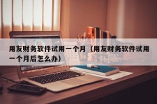 用友财务软件试用一个月（用友财务软件试用一个月后怎么办）