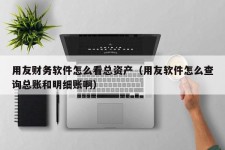 用友财务软件怎么看总资产（用友软件怎么查询总账和明细账啊）