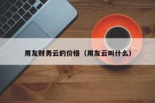 用友财务云的价格（用友云叫什么）