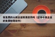 有免费的小微企业财务软件吗（适合小微企业的免费财务软件）