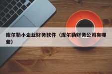 库尔勒小企业财务软件（库尔勒财务公司有哪些）