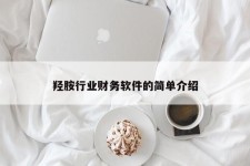 羟胺行业财务软件的简单介绍