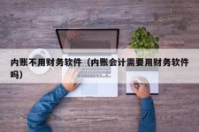 内账不用财务软件（内账会计需要用财务软件吗）