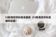 t3财务软件科目余额表（t3财务软件科目编码设置）