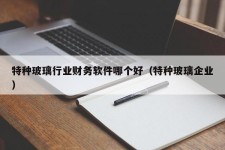 特种玻璃行业财务软件哪个好（特种玻璃企业）