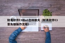 财务软件t3和a3怎样胆大（财务软件t3普及版操作流程）