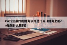 CA行业最好的财务软件是什么（财务上的ca是做什么用的）