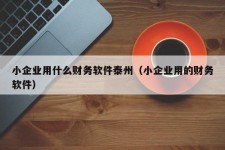 小企业用什么财务软件泰州（小企业用的财务软件）