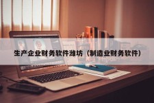 生产企业财务软件潍坊（制造业财务软件）