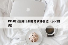 PP-B行业用什么财务软件合适（ppc财务）