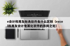 e会计和用友财务软件有什么区别（excel和用友会计电算化软件的异同之处）