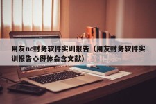 用友nc财务软件实训报告（用友财务软件实训报告心得体会含文献）