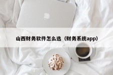 山西财务软件怎么选（财务系统app）