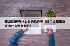 用友k3还有什么财务软件啊（除了金蝶用友还有什么财务软件）