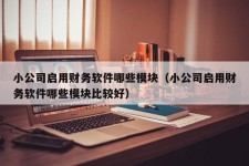 小公司启用财务软件哪些模块（小公司启用财务软件哪些模块比较好）