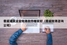 娄底建筑企业财务软件哪家好（娄底财务咨询公司）