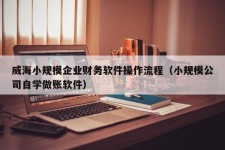 威海小规模企业财务软件操作流程（小规模公司自学做账软件）