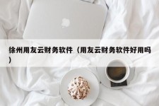 徐州用友云财务软件（用友云财务软件好用吗）