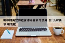 哪款财务软件适合沐浴露公司使用（什么财务软件好用）