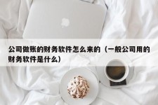 公司做账的财务软件怎么来的（一般公司用的财务软件是什么）