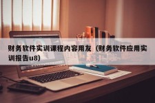 财务软件实训课程内容用友（财务软件应用实训报告u8）