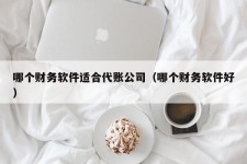 哪个财务软件适合代账公司（哪个财务软件好）