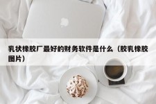 乳状橡胶厂最好的财务软件是什么（胶乳橡胶图片）