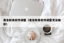 用友财务软件调整（用友财务软件调整凭证顺序）