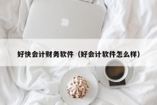 好快会计财务软件（好会计软件怎么样）