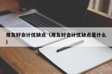 用友好会计优缺点（用友好会计优缺点是什么）