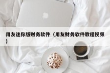 用友迷你版财务软件（用友财务软件教程视频）