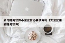 公司财务软件小企业有必要使用吗（大企业用的财务软件）