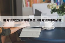 财务软件壁垒有哪些类型（财务软件市场占比）