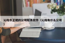 沁阳市正规的公司财务软件（沁阳有什么公司）