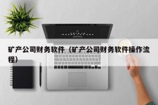 矿产公司财务软件（矿产公司财务软件操作流程）