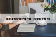 衡阳用友财务软件代理（衡水用友软件）