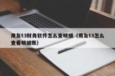 用友t3财务软件怎么查明细（用友t3怎么查看明细账）