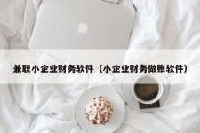 兼职小企业财务软件（小企业财务做账软件）