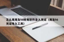 怎么用用友t6财务软件录入凭证（用友t6凭证导入工具）