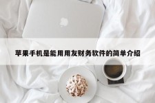 苹果手机是能用用友财务软件的简单介绍